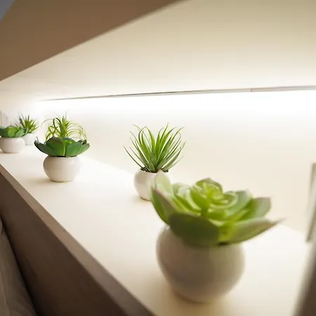 בית נופש La Chicca