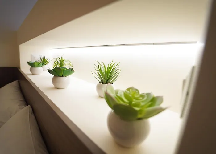 Hébergement de vacances La Chicca